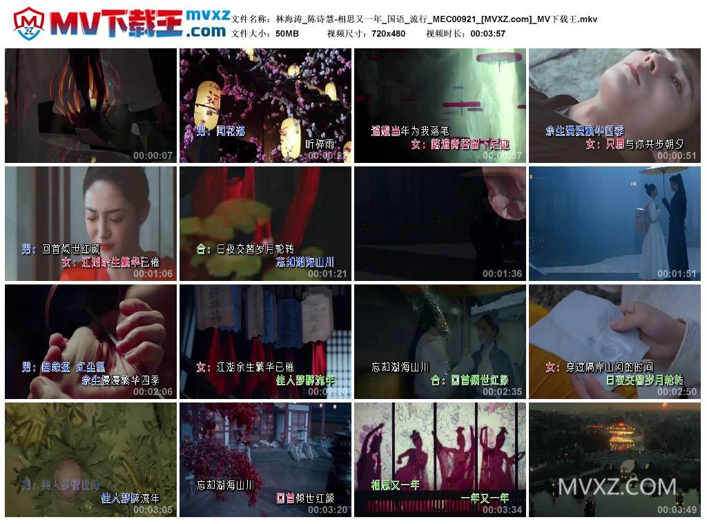 林海涛_陈诗慧-相思又一年_国语_流行_MEC00921